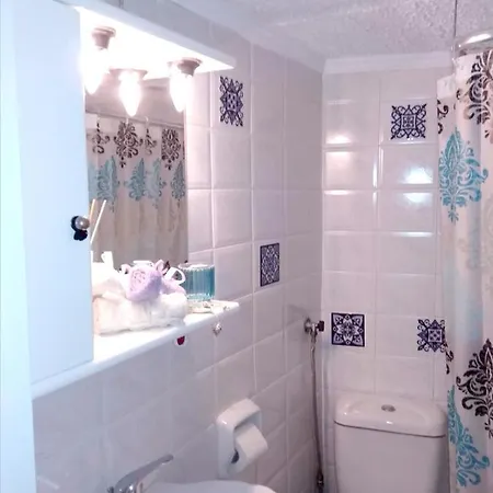 One Bedroom Appartement With Sea View Enclosed Garden And Wifi At Chaniotis 公寓